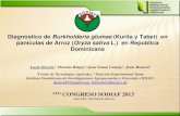 Diagnóstico de Burkholderia glumae (Kurita y Tabei) en ...sodiaf.org.do/congreso2013/memoria/orales/49.pdf · Diagnóstico de Burkholderia glumae (Kurita y Tabei) en panículas de