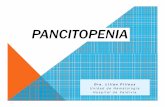 Pancitopenia.ppt [Modo de compatibilidad] · • Mieloptisis • Fibrosis Medular • Anemia Megaloblástica Severa • Infección Severa HIV • Síndrome Hemofagocítico • Leucemia