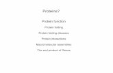Protein folding Protein folding diseases Protein ... 02-14-03.pdf · Protein folding Protein folding diseases Protein interactions Macromolecular assemblies The end product of Genes.