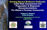 Coming Spruce Budworm Outbreak: Initial Risk Assessment ...€¦ · Initial Risk Assessment and Preparation & Response Recommendations For Maine’s Forestry Community Keeping Maine’s
