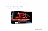 Adobe Flash CS6 - Amazon S3€¦ · Adobe Flash CS6 Das umfassende Handbuch. Auf einen Blick Teil I Grundlagen ..... 23 Teil II Anwendung ..... 65 Teil III ActionScript ..... 335