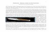 Neptunia – Messer nicht nur für Seeleute€¦ · Neptunia – Messer nicht nur für Seeleute Ein Bericht von Gerhard Standop Die französische Region Champagne-Ardenne im Nordosten