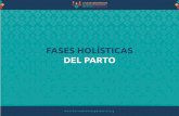 FASES HOLÍSTICAS DEL PARTO - herramientasparteria.orgherramientasparteria.org/documentos/fases-holisticas/presentacion... · el punto de partida para la calidad en la atención a