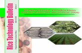 Rice Technology Bulletin - Pinoy Rice Knowledge Bank€¦ · Rice Technology Bulletin Series 1 No. Released Rice Varieties (1968-1994) 2 Pagpaparami at Pagpupuro ng Binhi sa Sariling