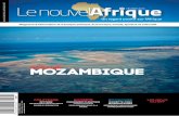 dossiermozambique - Le nouvelAfriquede tout genres, doit comprendre comme Napoléon Hill que « tout événement négatif contient la semence d’un bienfait, au moins égal sinon