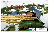 GUIDE TECHNIQUE TRAVAIL EN HAUTEUR EN ......5 Ce guide est un document permettant de structurer une démarche de prévention du risque de chute de hauteur en arboriculture fruitière