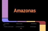 Amazonas - WordPress.com · 2014-04-11 · resultado una formación vegetal muy abundante la llamada selva lluviosa o pluvisilva; en cuanto a la fauna la selva constituye el hábitat