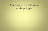 Anatomie, histologie a embryologiecr-hana.upol.cz/cellbiol/bilder/AHE/AHE8.pdf · Anatomie, histologie a embryologie. Témata: - Embryogeneze a sexuální rozmnožování rostlin