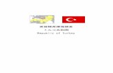資源開発環境調査 トルコ共和国 Republic of Turkey ...mric.jogmec.go.jp/public/report/2005-10/turkey_05.pdf- 1 - トルコ 第1部 資源開発環境調査 1. 一般事情