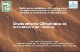 Changements Climatiques et indicateurs de mesure · Changements Climatiques et indicateurs de mesure Par: Marie Antoinette FOMO Chef de Division de la Cartographie et des Statistiques