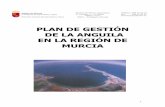 Plan Gesti.n Anguila Murcia · 1.200 m. de anchura, denominada La Manga del Mar Menor. La laguna y sus humedales periféricos han sido designados por Naciones Unidas como Zona Especialmente