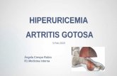 HIPERURICEMIA ARTRITIS GOTOSA - ICSCYL · 2020-02-04 · -Hipouricemiantes (Inhibidores de la xantina oxidasa): Alopurinol, Febuxostat -Uricusúricos: Benzbromarona, Probenecid, Sulfipirazona