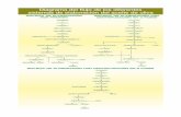 Diagrama del flujo de los diferentes sistemas de ... · Diagrama del flujo de los diferentes sistemas de elaboración del aceite de oliva. Title: 010-027 Produccion.qxp Created Date: