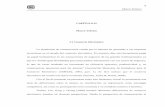 CAPÍTULO II Marco Teórico - Universidad de las Américas ...catarina.udlap.mx/u_dl_a/tales/documentos/lhr/... · consecuencia, ganancias para las mismas” (Asociación Mexicana