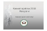 Kasvattajakisa 2016 Reisjärvi - kphkk.info 2016... · 2016-09-09 · Omistaja: Hanna ja Riku Rousku, Masku Haluamme kasvattaa suurella sydämellä terveitä ja käyttöominaisuuksiltaan