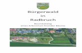 Bürgerwald in Radbruch · 2017-05-08 · 3 Vorwort Hochzeitswälder gibt es in vielen umliegenden Gemeinden von Radbruch. Dort sind vor allem heimische Baumarten wie z.B. Eiche,