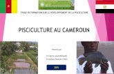 PISCICULTURE AU CAMEROUN - Fish Consulting Groupfishconsult.org/wp-content/uploads/2016/09/Country... · PRESENTATION DE LA PISCICULTURE CAMEROUNAISE ATOUTS ET CONTRAINTES CONCLUSION