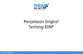 Penjelasan Singkat BSNP - BSNP Overview · 4 Ujian Nasional 5 Penilaian Buku Teks Pelajaran 6 Rekomendasi BSNP-1-Tugas dan Wewenang BSNP. ... Pend Kesetaraan Paket A, B, C 2013 Perbaikan