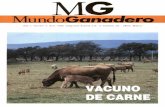 Revista MG Mundo Ganadero - Ministerio de Agricultura ... · Pero, además de los hechos apuntados, hay dos temas que afectan muy directamente a nuestro vacuno de carne y no dehen