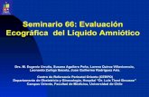 Seminario 66: Evaluación Ecográfica del Líquido Amniótico · funciones del liquido amniotico 2. origen del lÍquido amniÓtico 3. composicion del liquido amniotico y caracteres
