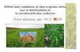 Effets des rotations et des engrais verts sur la fertilisation et le … · Rendements en maïs et soya (étude sur 16 ans) Système de culture Maïs/soya Avoine/luzerne/ maïs/soya
