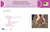 Biomasa forestal - Producción de péletseforown.ctfc.cat/pdf/44b_3_Biomasa forestal - Produccion de Pelets.… · Es donde se realiza el proceso de densificación de la biomasa.