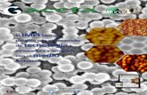 IMPI - gob.mxDiagramas que muestra la estructura de nuevos recubrimientos anticorrosivos dopados con nanotubos de dióxido de titanio. G+ + + + + +®+²+µ 5 Siguiente artículo rez