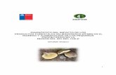 DIAGNÓSTICO DEL IMPACTO DE LOS PRODUCTOS FORESTALES … · RESUMEN En Chile existe una amplia variedad de Productos Forestales no Madereros (PFNM), constituidos ... actual del aporte