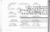 FAMILIAS NUCLEARES POLIGENÉTICAS: CAMBIOS Ynomadas.ucentral.edu.co/nomadas/pdf/nomadas_11/11... · También el modelo de familia nuclear opera y se roma en obstácu- lo, cuando la