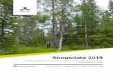 Webb-version Skogsdata 2019 (reviderad191010)...SKOGSDATA 2019 3 Förord SLU, Sveriges lantbruksuniversitet, är statistik- ansvarig myndighet för statistikområdet Skogarnas tillstånd