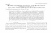 CODEN-JHTBFF, ISSN 1341-7649 Original VEGF …...Norimasa Tsumori et al.:VEGF Expression Promotes Alveolar Bone Resorption Original VEGF Expression in Diabetic Rats Promotes Alveolar