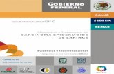 Diagnóstico y Tratamiento del CARCINOMA EPIDERMOIDE DE …€¦ · 4.3.3 Estudios de imagen ... BH, QS, Tiempos de Coagulación, PFH, EGO Telerradiografía de Tórax. Laringoscopia