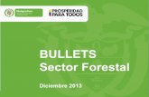 BULLETS Sector Forestal - MinAgricultura · Pinus maximinoi Pino 1111 15-25 2.035.961 Pinus oocarpa Pino 1111 15-25 2.118.945 Pinus patula Pino 1111 15-25 1.896.500 Pinus tecunumanii
