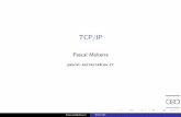 TCP/IP - index-of.es/index-of.es/Network-security-protocols/Tcp-ip-2.pdf · Les principales fonctions fournies au niveau de la couche de lien sont le partage du support et la d elimitation