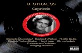R. STRAUSS - Naxos Music Library€¦ · 8.112034-35 211 8.112034-35 Great Opera Recordings Richard STRAUSS (1864 -1949) Capriccio (Op. 85) A Conversation Piece for Music in One Act