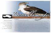 Bonelli - LPOrapaces.lpo.fr/.../mission-rapaces/36/bonelliinfo13bd.pdfBonelli Phot acaz Feuille de liaison des acteurs de la conservation de l’aigle de Bonelli en France Sommaire