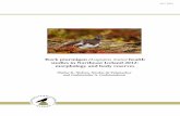 Rock ptarmigan (Lagopus muta) health studies in Northeast ...utgafa.ni.is/skyrslur/2013/NI-13001.pdf · the birds. The birds were collected in 7 days (30 September to 6 October).