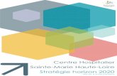 Centre Hospitalier Sainte-Marie Haute-Loire Stratégie ... · Tout cela permet d'entrevoir de nombreuses alternatives à l'hospitalisation et au maintien de la personne soignée dans