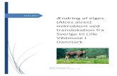 Ændring af elges (Alces alces) mikrobiom ved translokation ... · The 16S rRNA amplicon sequencing technique has been used to examine the moose microbiome, as bacteria from faeces