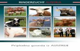 Priplodna goveda iz AUSTRIjE37e937e8-1af6-43c0-acf9-55fea86a8207/ZAR... · Posebne karakteristike su: skromnost, dobra iskorisˇc´enost hrane, lako telenje, vitalnost, dobra grad¯a