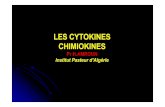 LES CYTOKINES CHIMIOKINES - التعليم الجامعيuniv.ency-education.com/uploads/1/3/...10cytokines... · des cytokines proinflammatoires et de l’IFN γ, ceci a pour conséquence,