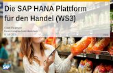 Die SAP HANA Plattform für den Handel (WS3) · 2015-08-12 · SAP HANA, SAPUI5 & SAP HANA Cloud Effizientere Unterstützung für Entwickler Professionelles Toolset für ABAP Entwicklung