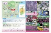 partners-pamph.jnto.go.jp · 2018-07-23 · Tokyo-Gaikan Expressway Asakusa Tokyo Wii\tèr Ashikaga Flower Park ...k Tokyo International (Haneda) Airport .Narita International Airport