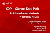 XDP - eXpress Data Path...Bypass alternatives is making networking an add-on This is bad, networking need to be a core service XDP is an in-kernel fast-path solution Part of and works