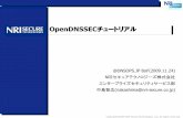 OpenDNSSECチュートリアルdnsops.jp/bof/20091124/OpenDNSSEC-tutorial.pdf · • 鍵更新とゾーン署名の自動化 • 署名プロセスとゾーン情報の完全性チェック