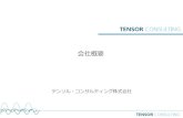 会社概要 - tensor.co.jp · －ニューラルネット ・形態素・構文解析 (ルールアプローチ) ・形態素・構文解析 (統計的アプローチ) ・意味解析