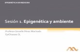 Sesión 1. Epigenética y ambiente · Estudios epidemiológicos en humanos sobre epigenética y ambiente aportaran evidencias de su potencial como marcadores de riesgo y moduladores