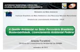 GISELA FORATTINI IBAMA - ANTF · Diretora de Licenciamento Ambiental do IBAMA setembro de 2012. Críticas do passado Relatório do BIRD (2008) inexistência de planejamento integrado