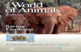 World of Animals - Amazon S3€¦ · elephants. Game Rangers International (GRI) has been saving baby elephants through the Zambia Elephant Orphanage project since 2007. With ongoing