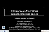 Résistance d’Aspergillus aux antifongiques azolés · 2019-10-02 · Résistance d’Aspergillus aux antifongiques azolés Académie Nationale de Pharmacie Mercredi 16 septembre
